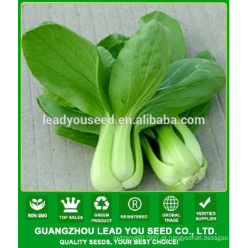 NPK03 Yuhua Melhores sementes de pak choi de alto rendimento para o plantio